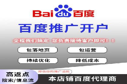 SEM精准广告投放的五大成功案例